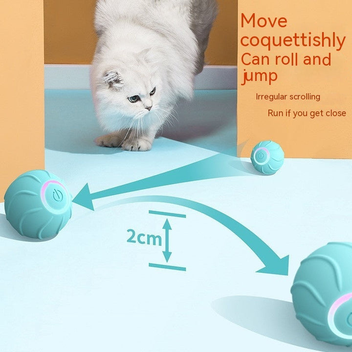 Engaging Your Pet with the Smart Interactive Pet Rolling Ball