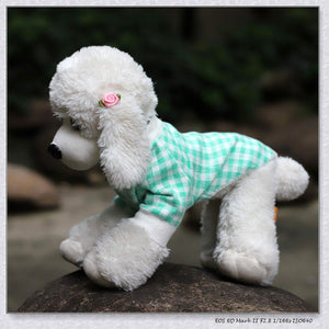 High Collar Windproof Warm Pet Sweater: Fashion Meets Functionality