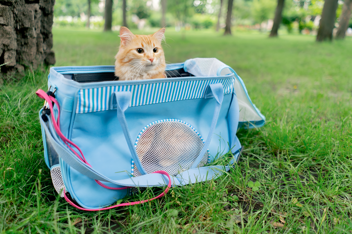 DURABLE PET CARRIERS FOR SAFE TRAVELING