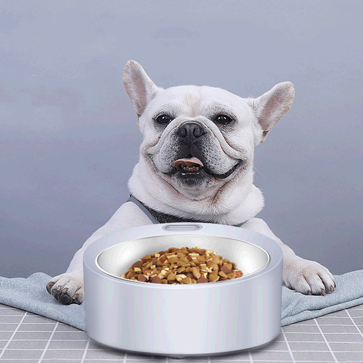 Large Capacity Stainless Steel Pet Feeder With Scale Bowl
