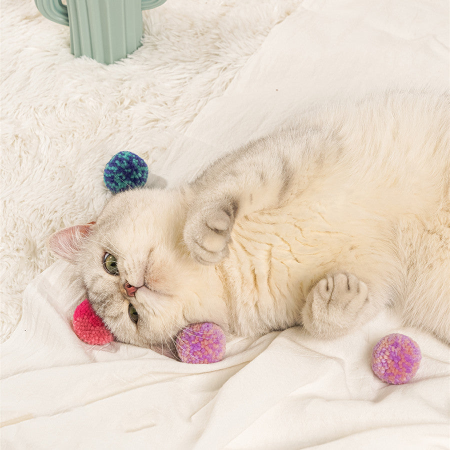 Quiet Pet Hair Ball Interactive Toy
