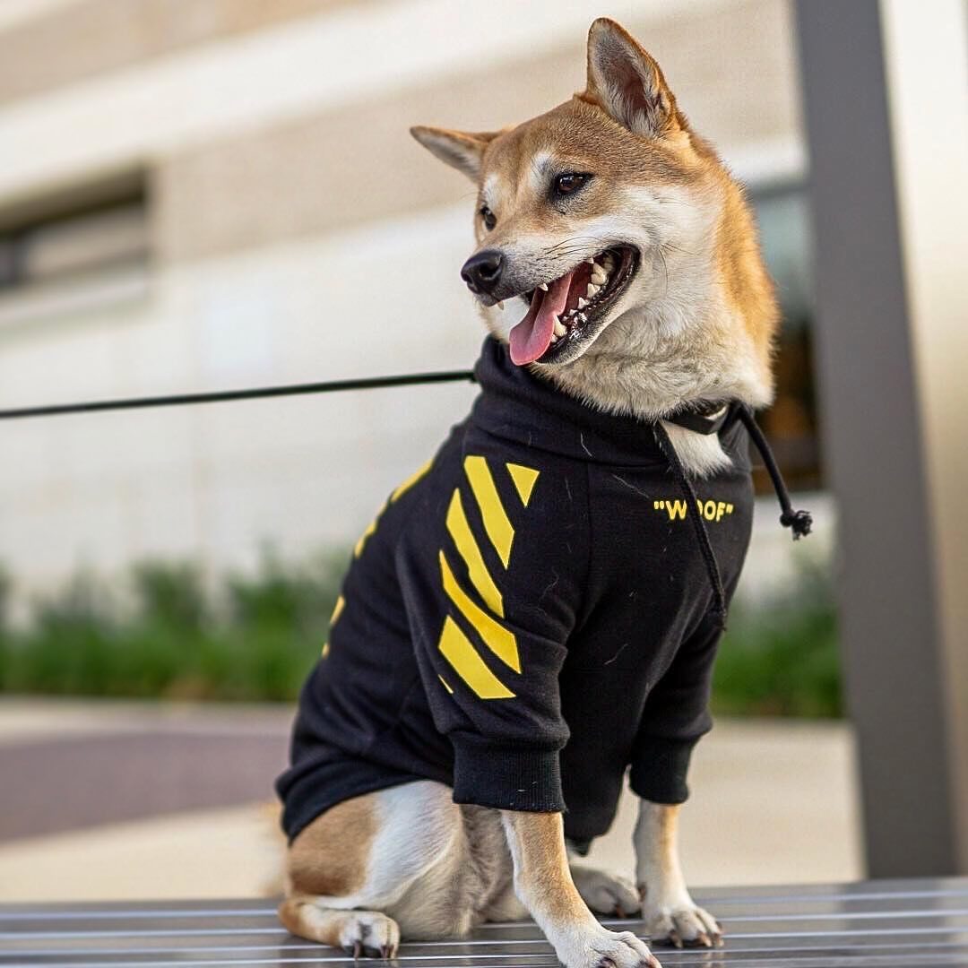 Three Stripe Sports Fashion Pet Sweater Clothes