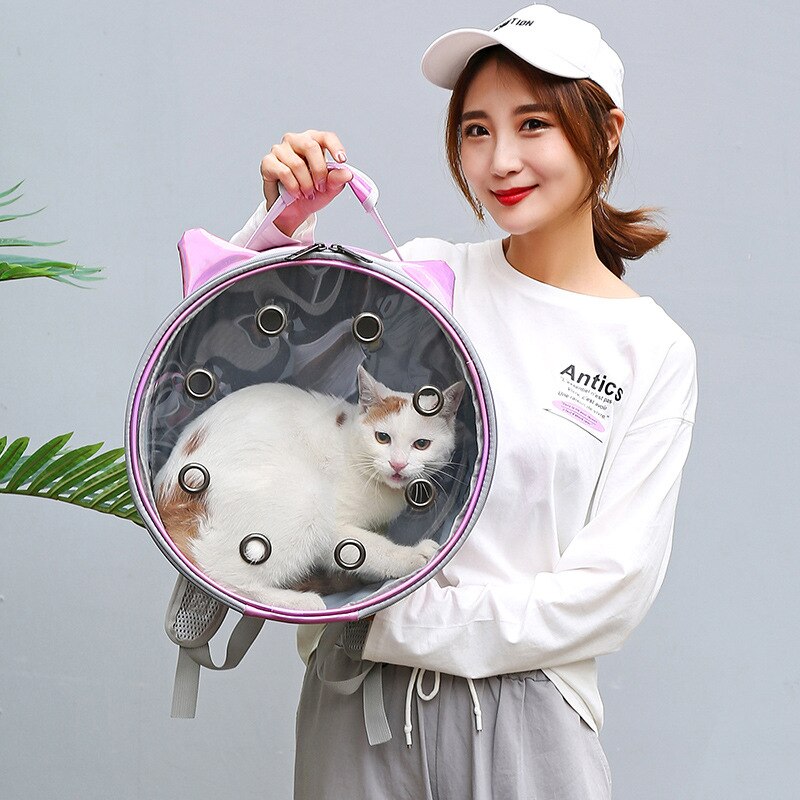 Transparent Breathable Portable Pet Backpack For Outdoor Travel