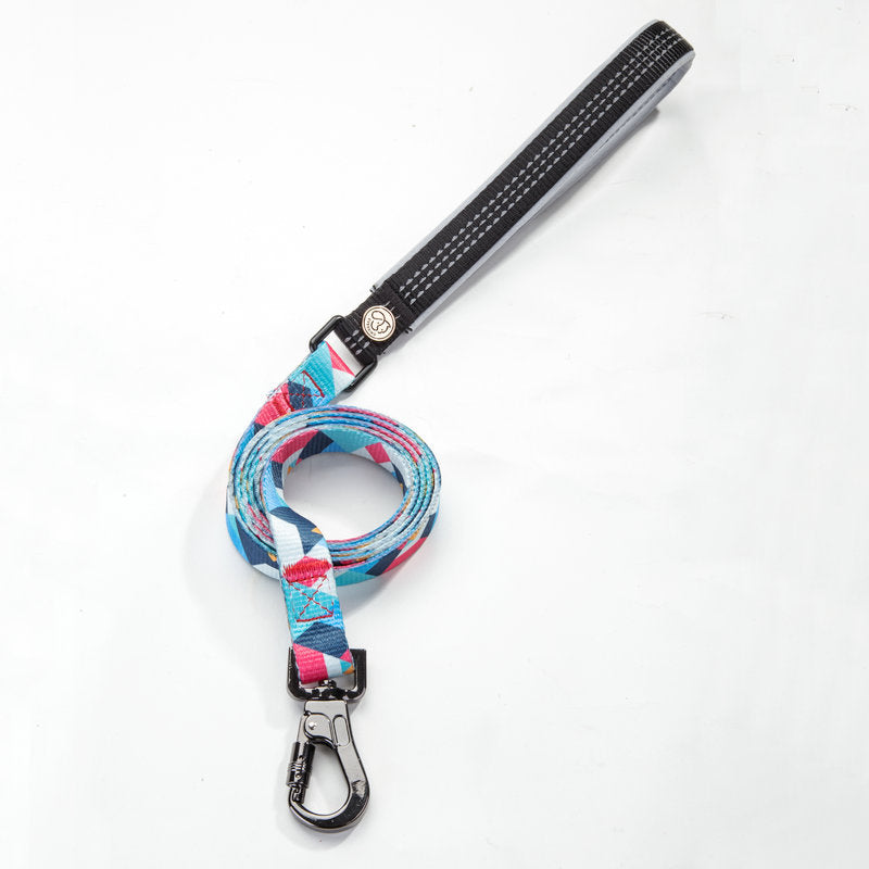 Essential Pet Supplies Durable Everyday Leash For Pets