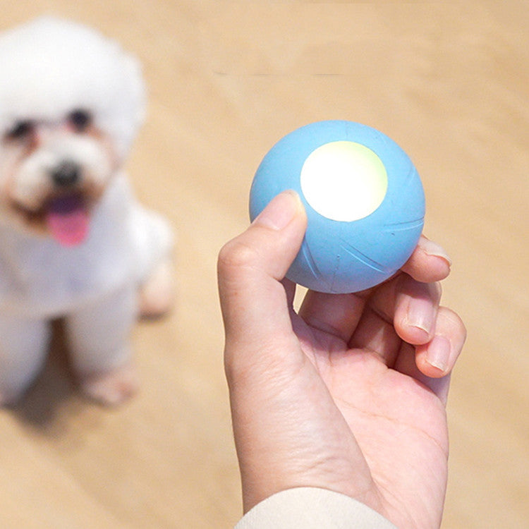 Interactive Pet Toys Teasing Stick And Rolling Ball For Boredom Relief