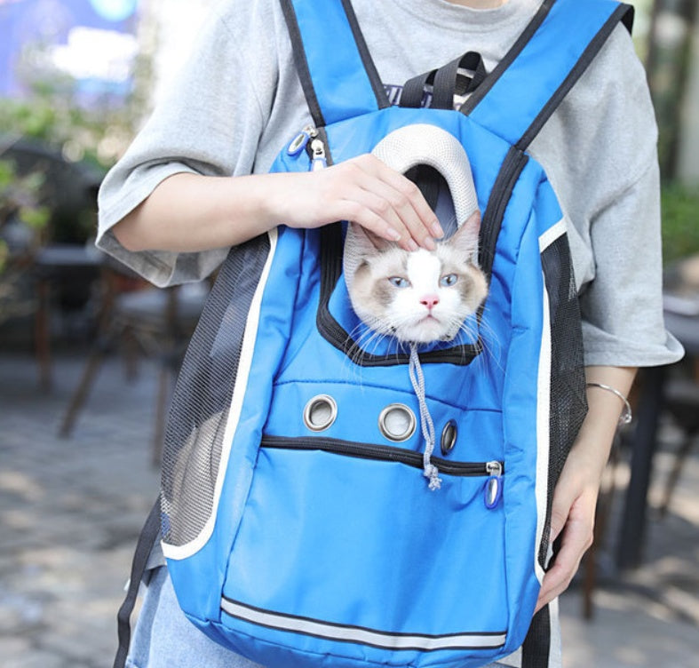 Portable Pet Outing Backpack Travel Carry Bag