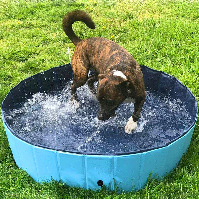 Foldable Collapsible Outdoor Indoor Pet Bath Swimming Pool Tub