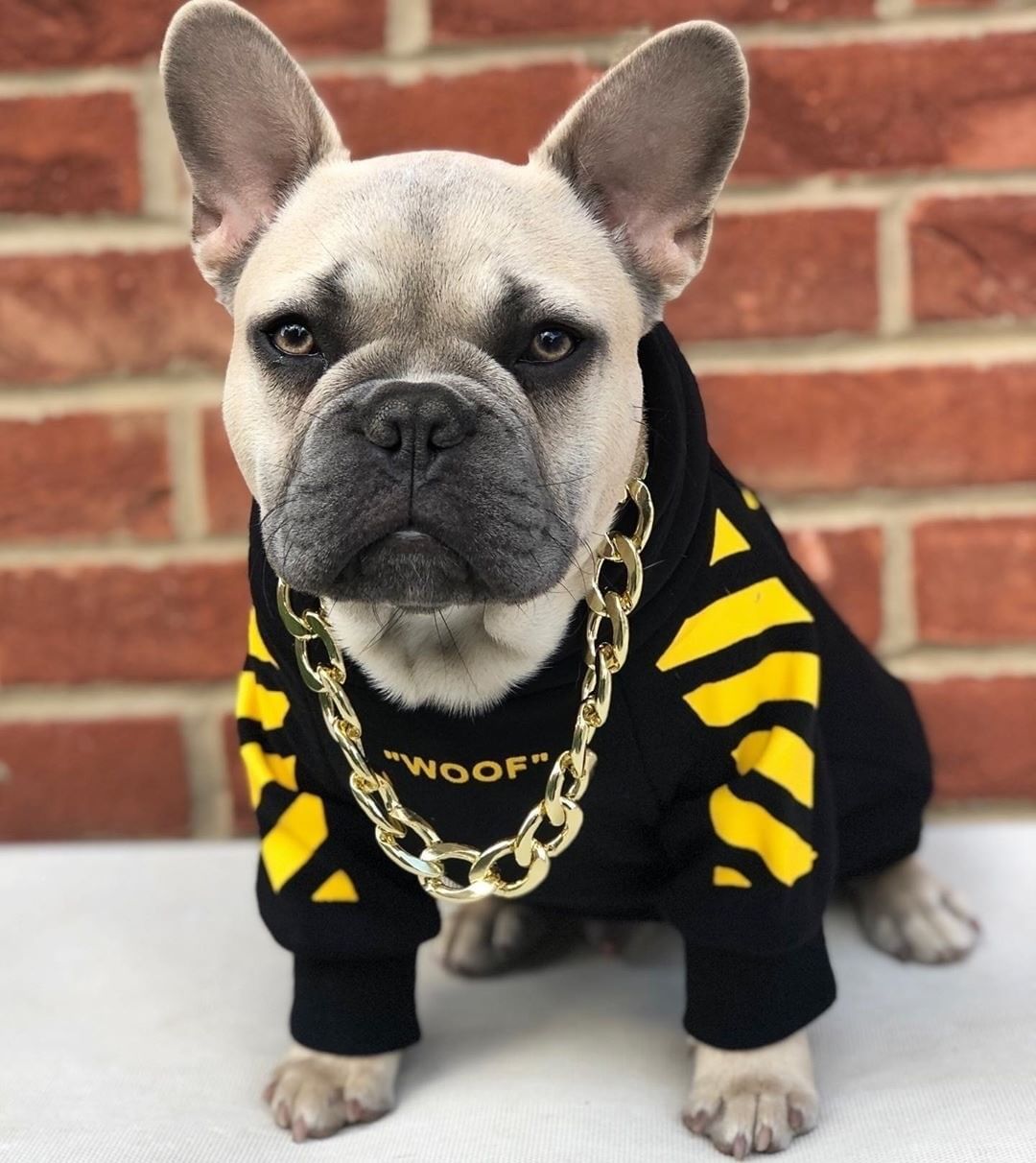 Three Stripe Sports Fashion Pet Sweater Clothes