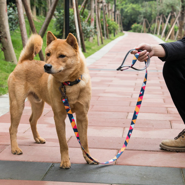 Essential Pet Supplies Durable Everyday Leash For Pets