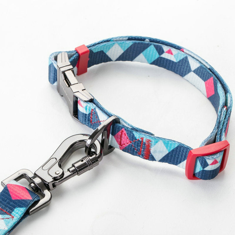 Essential Pet Supplies Durable Everyday Leash For Pets