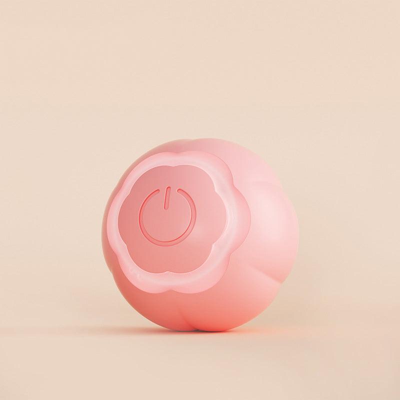 Smart Pet Rolling Ball Bite Resistant Interactive Toy