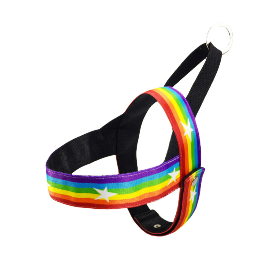 Rainbow Cool Pet Chain Leash Durable Stylish Design