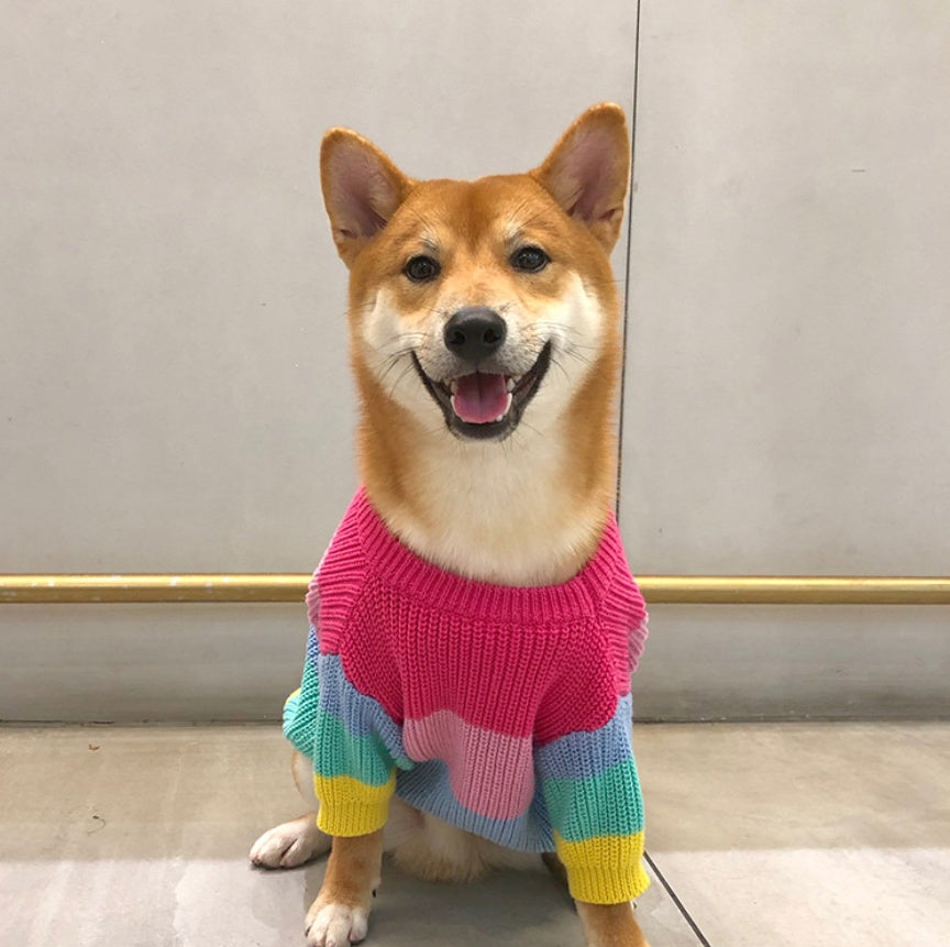 Rainbow Fashion Sweater Small Pet Clothes