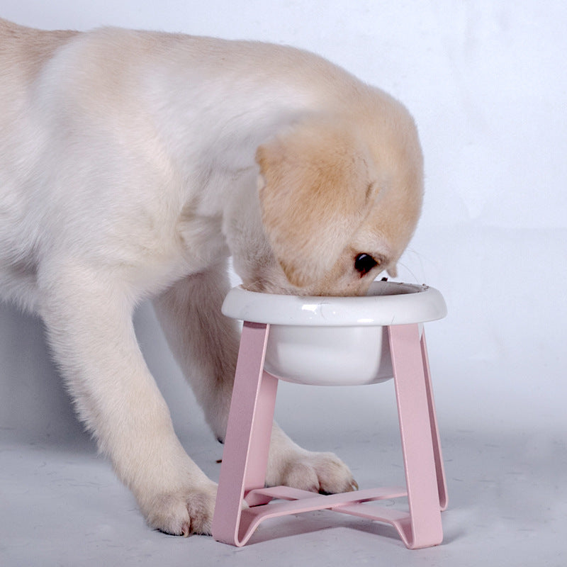 Anti Slip Iron Stand Dual Pet Food And Water Bowl