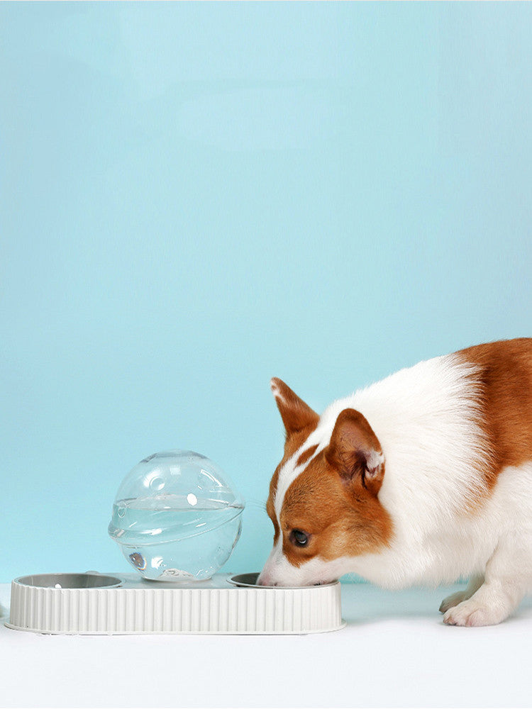 Automatic Plastic Pet Food And Water Dispenser Bowl