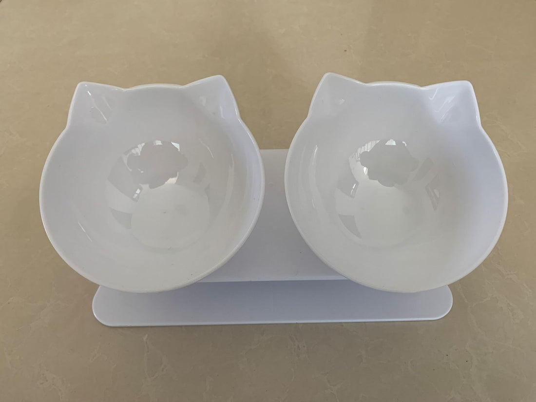 Adjustable Elevated Pet Feeding Bowl