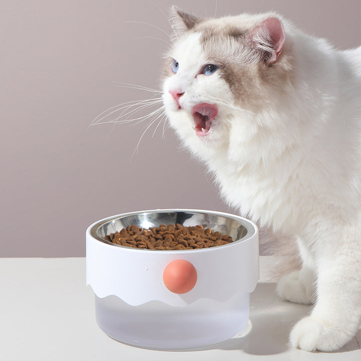 Stainless Steel Pet Feeding Bowl