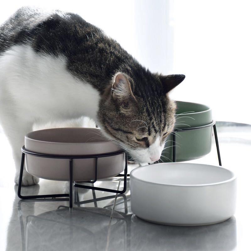 Metal Frame Ceramic Pet Feeding Bowl