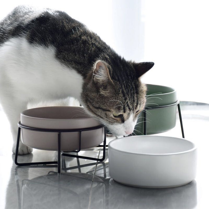 Metal Frame Ceramic Pet Feeding Bowl