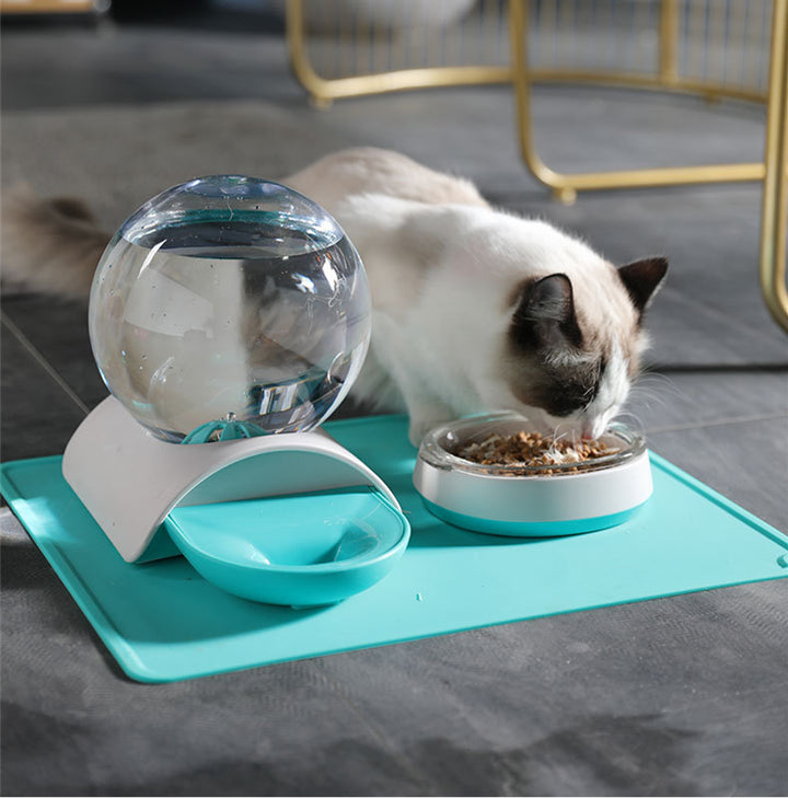 Automatic Pet Food And Water Dispenser