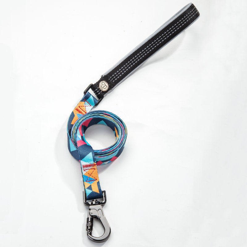 Essential Pet Supplies Durable Everyday Leash For Pets
