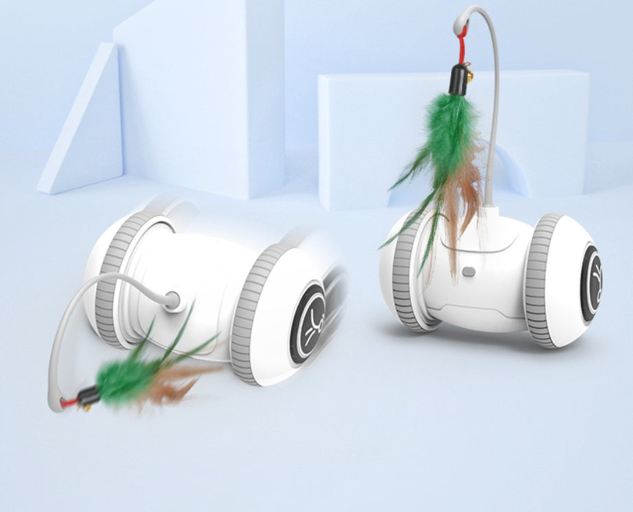 Interactive Pet Toy Interchangeable Feather Play Set