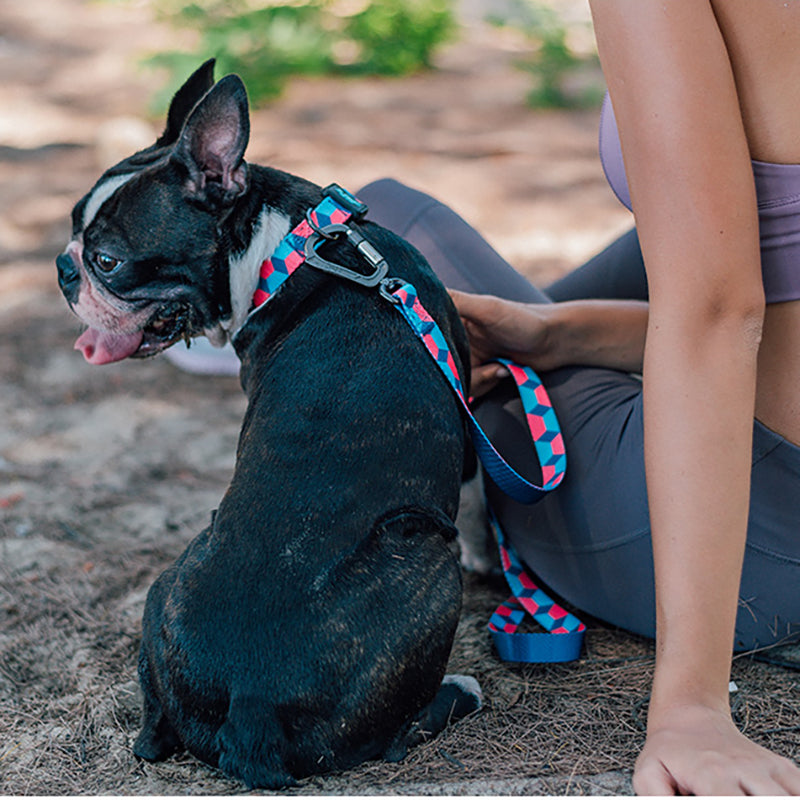 Printed Ribbon Pet Traction Rope Leash