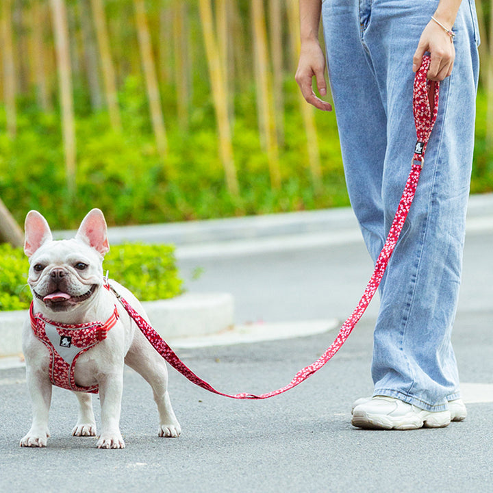 Pet Durable Pull Resistant Rope Chain Leash