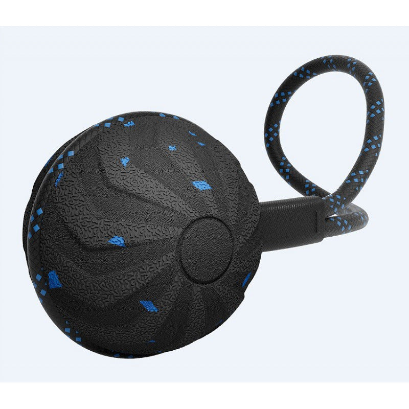 Electric Smart Rolling Sound Playing Spinning Pet Toy Ball