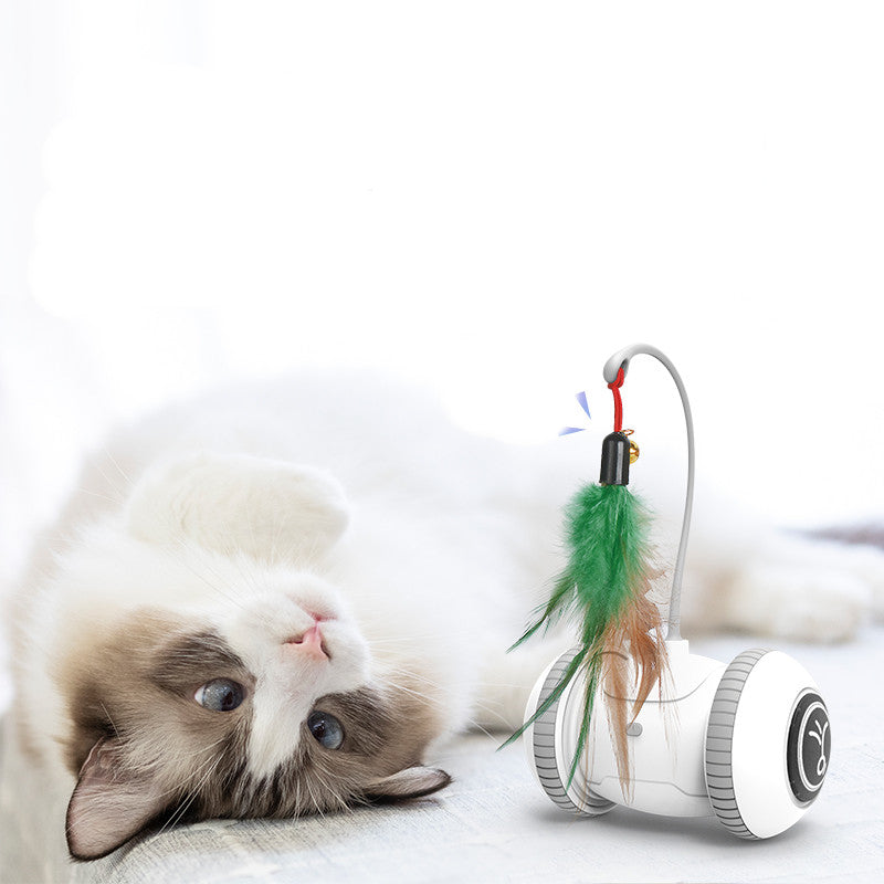 Interactive Pet Toy Interchangeable Feather Play Set