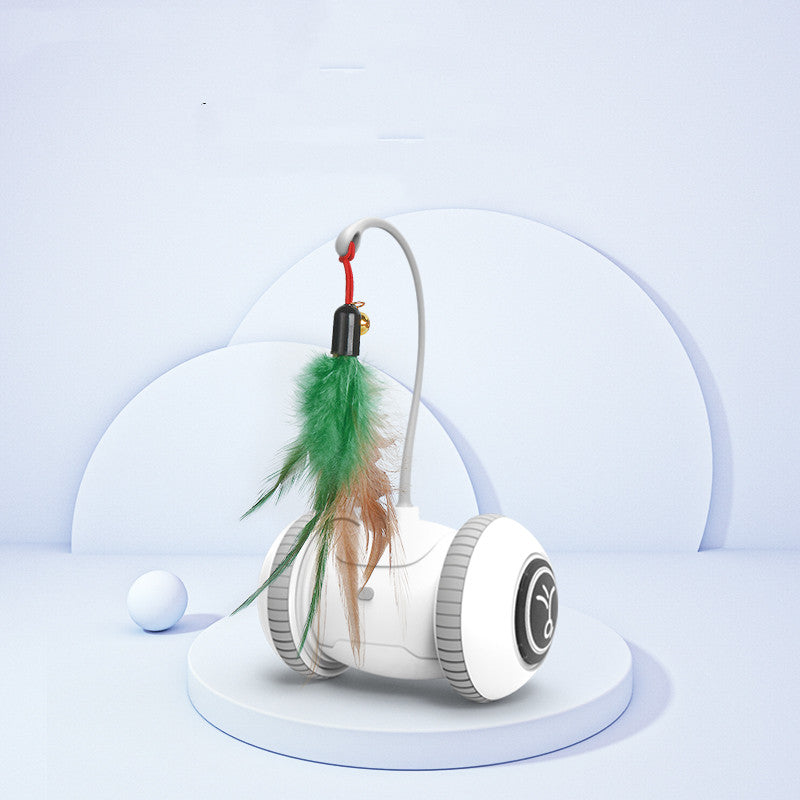 Interactive Pet Toy Interchangeable Feather Play Set