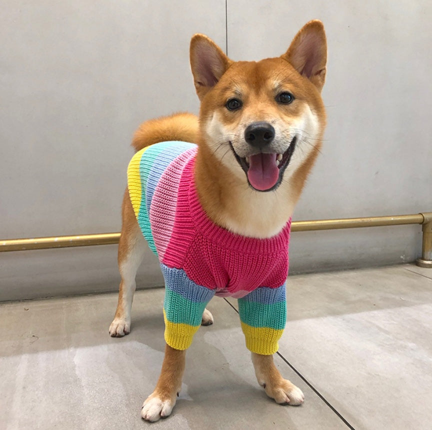 Rainbow Fashion Sweater Small Pet Clothes