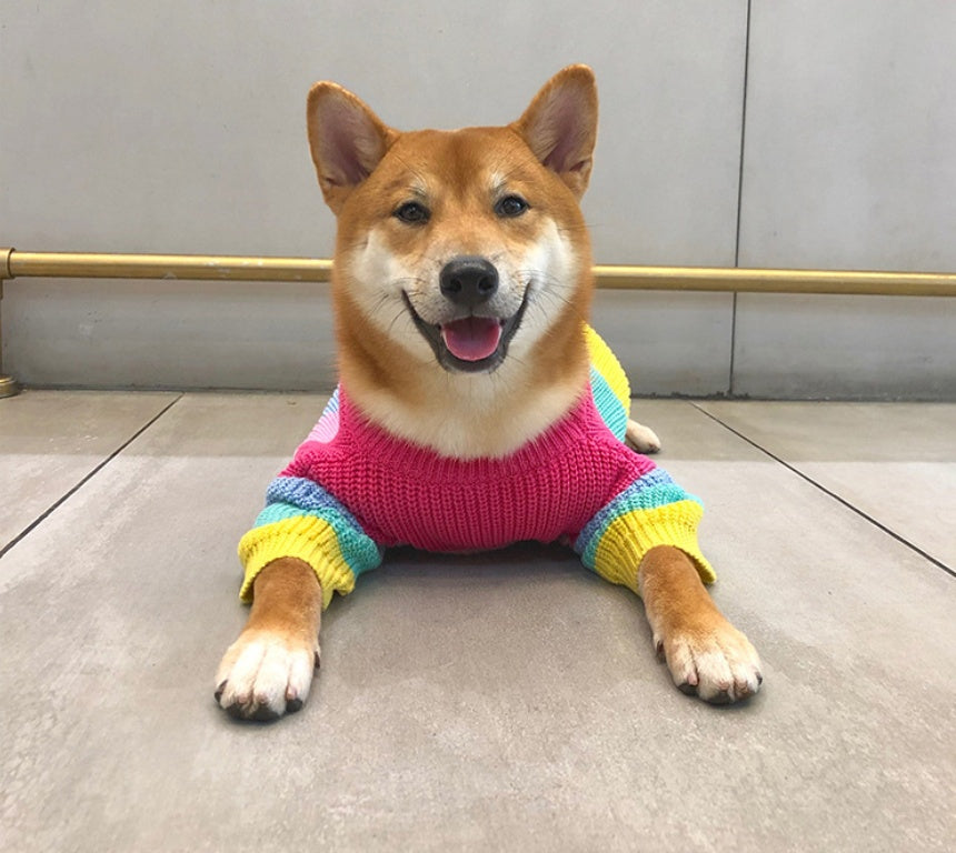 Rainbow Fashion Sweater Small Pet Clothes