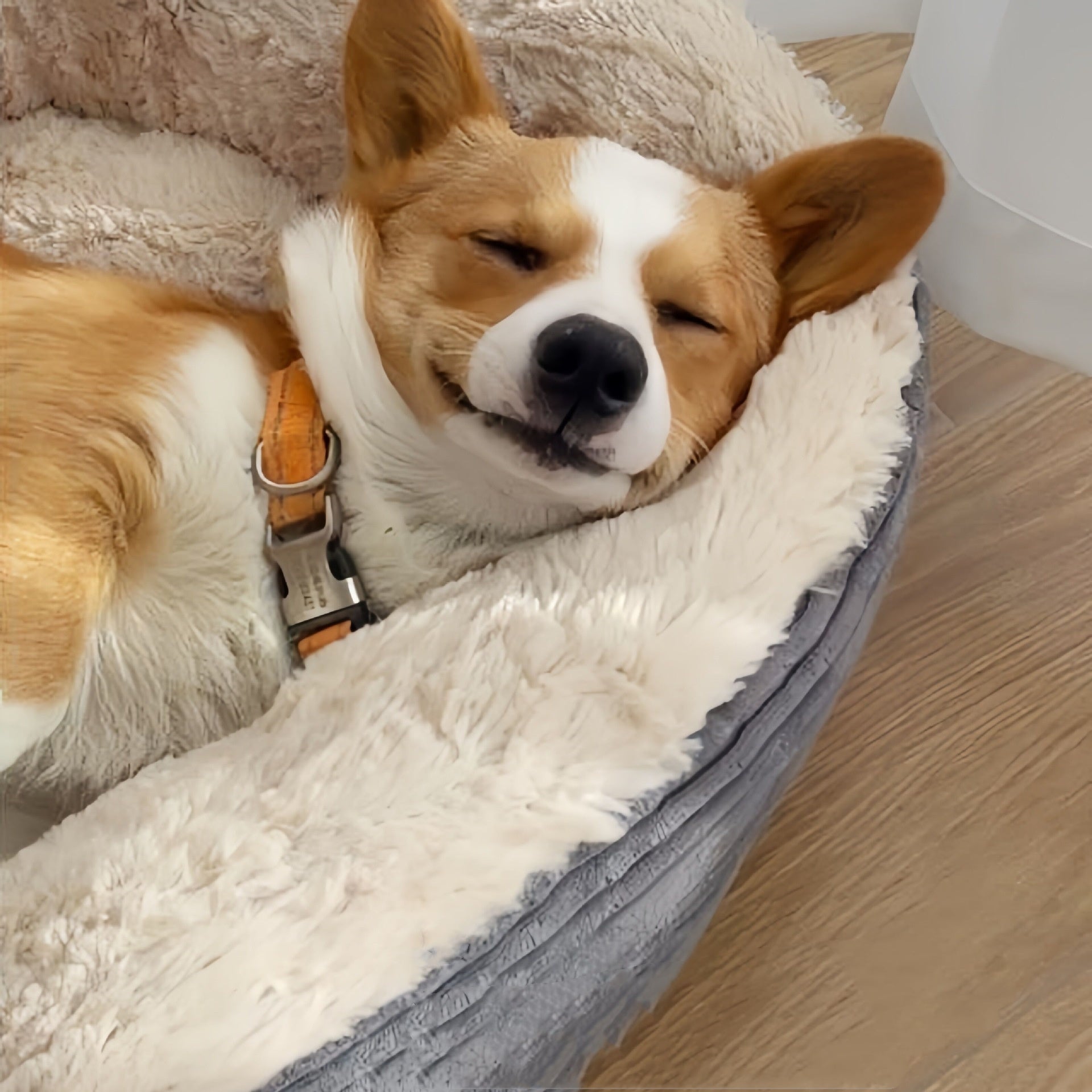 Teddy Style Pet Sleeping Nest Supplies