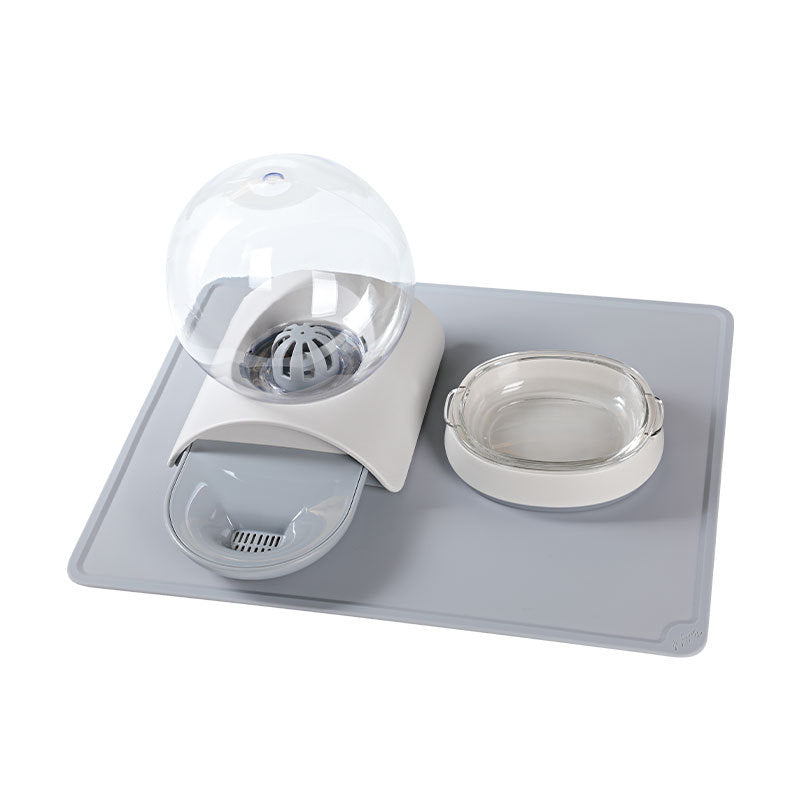 Automatic Pet Food And Water Dispenser