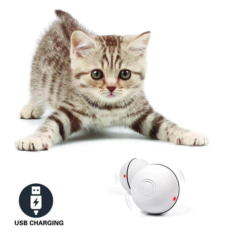 LED Laser Electronic Rolling Pet Interactive Ball Toy