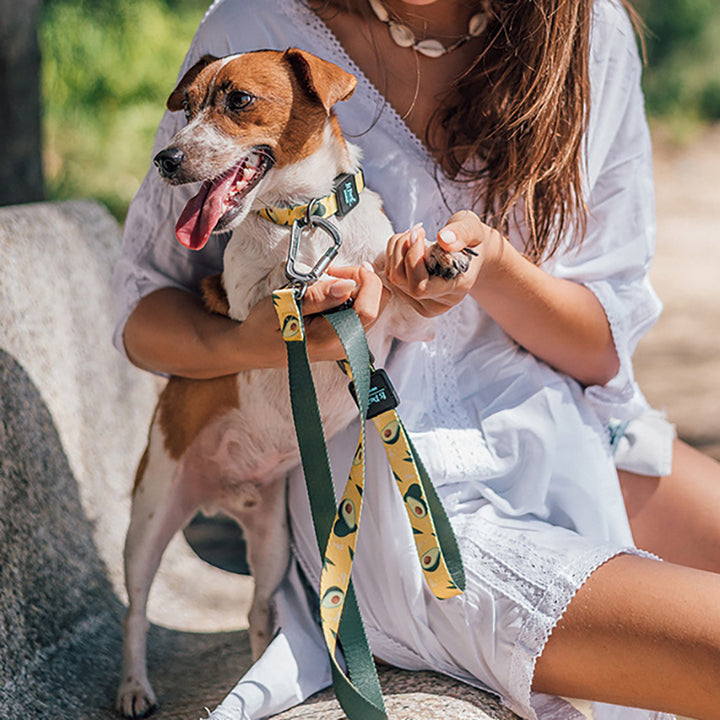 Printed Ribbon Pet Traction Rope Leash