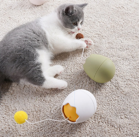 Interactive Pet Funny Boredom Relief Toy