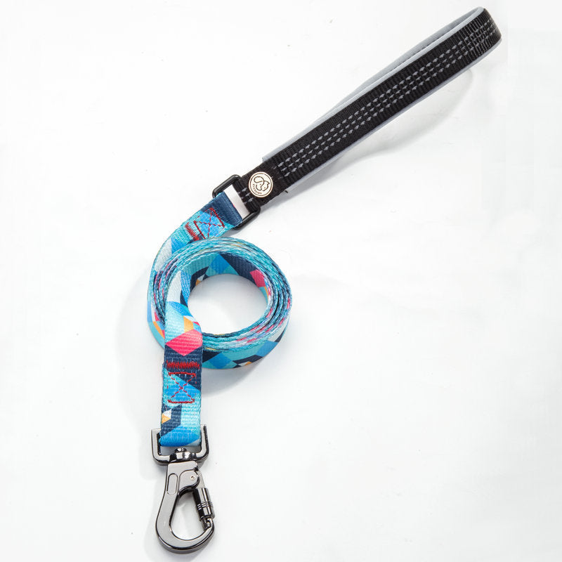 Essential Pet Supplies Durable Everyday Leash For Pets