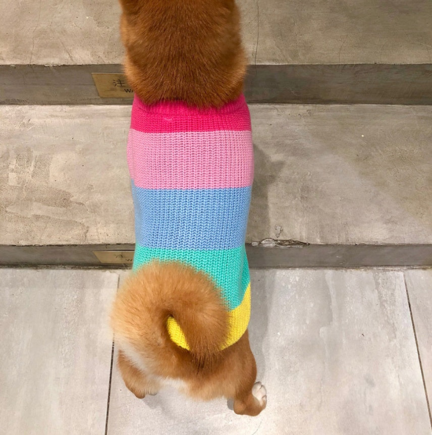 Rainbow Fashion Sweater Small Pet Clothes