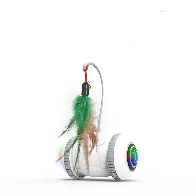 Interactive Pet Toy Interchangeable Feather Play Set