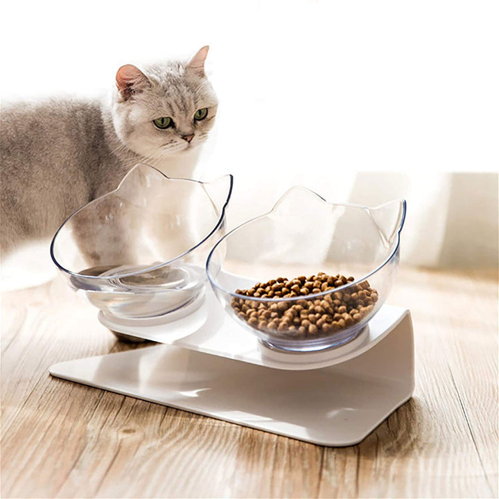 Non Slip Raised Stand Double Pet Food And Water Bowl