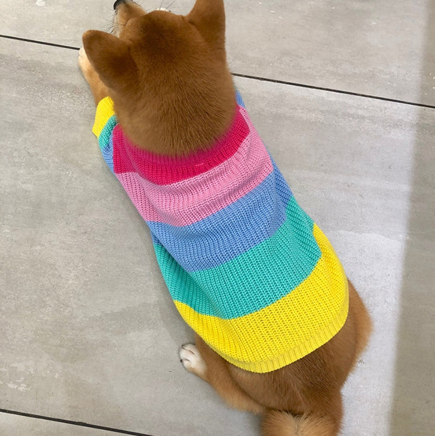Rainbow Fashion Sweater Small Pet Clothes
