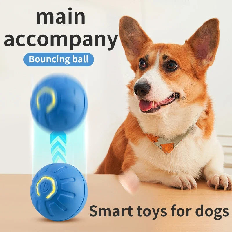 Smart Electronic Interactive Pet Ball USB Automatic Bouncing Toy
