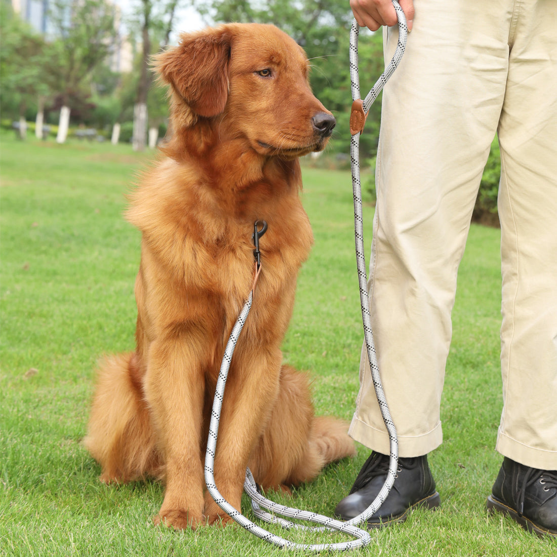 Pet Adjustable Reflective Handheld Rope Leash Multifunctional Harness