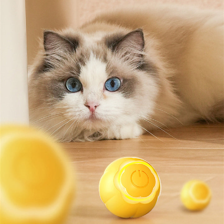 Smart Pet Rolling Ball Bite Resistant Interactive Toy