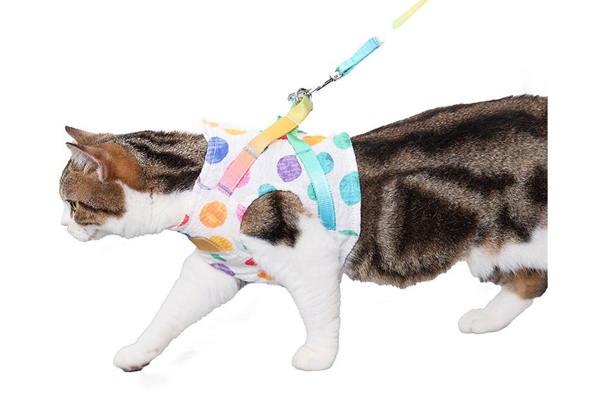 Pet Chest Harness Leash For Small Medium Pets