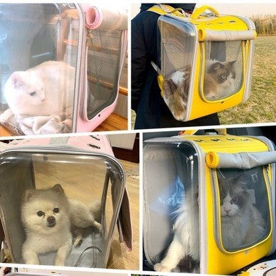 Portable Pet Backpack Go Out Travel Breathable Carry Bag