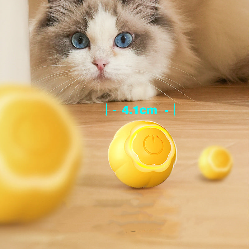 Smart Pet Rolling Ball Bite Resistant Interactive Toy