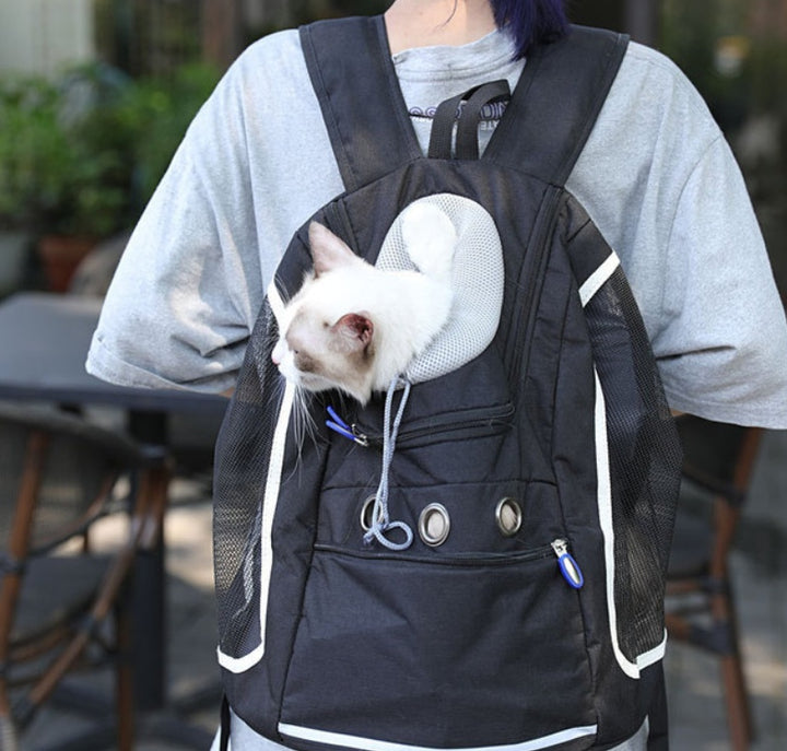 Portable Pet Outing Backpack Travel Carry Bag